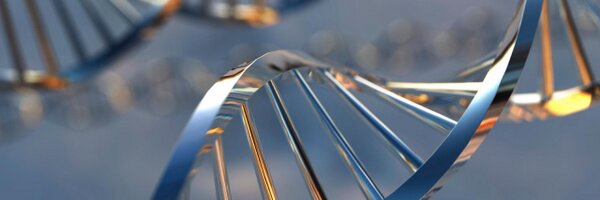 WomenAtFrontier Profile Banner