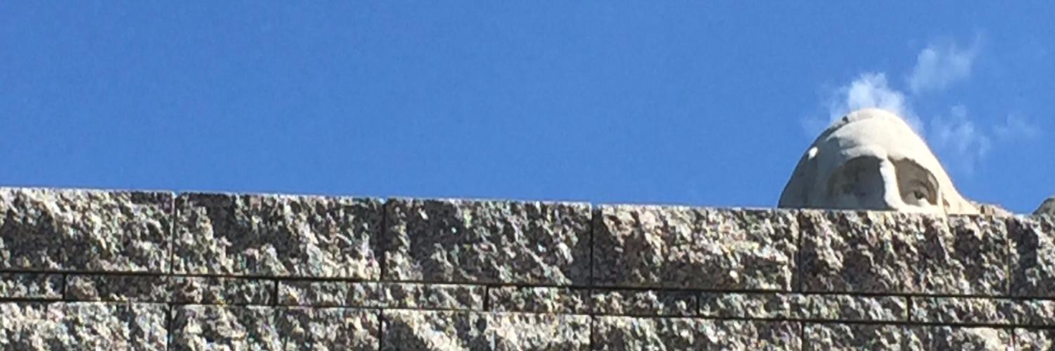 Equality Case Files banner