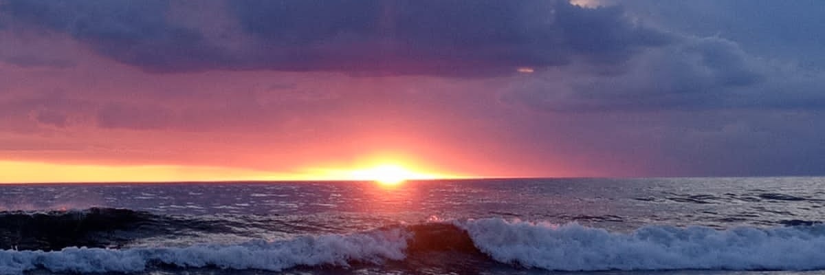 RaquelRehermann's profile banner image
