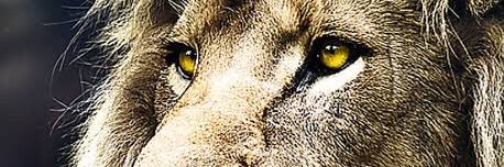 NecatiSURAT's profile banner image