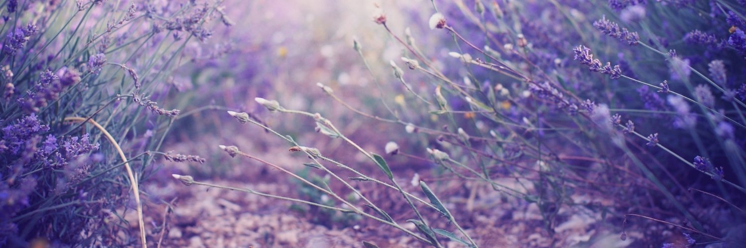 Laia Navarro banner