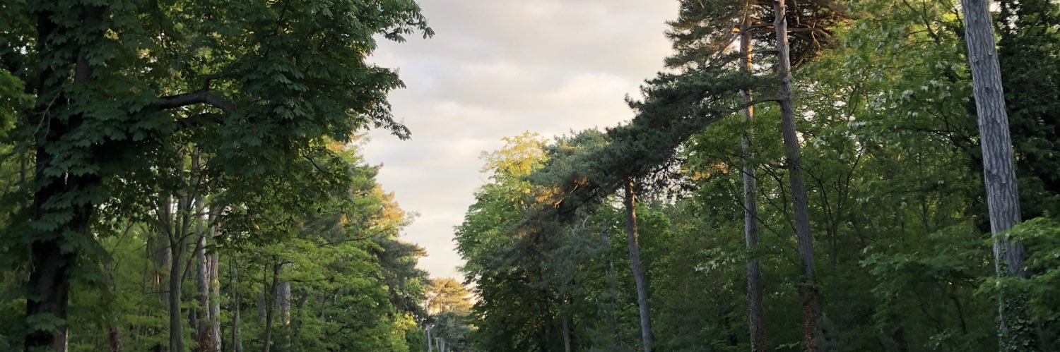 Thibault_ctl's profile banner image