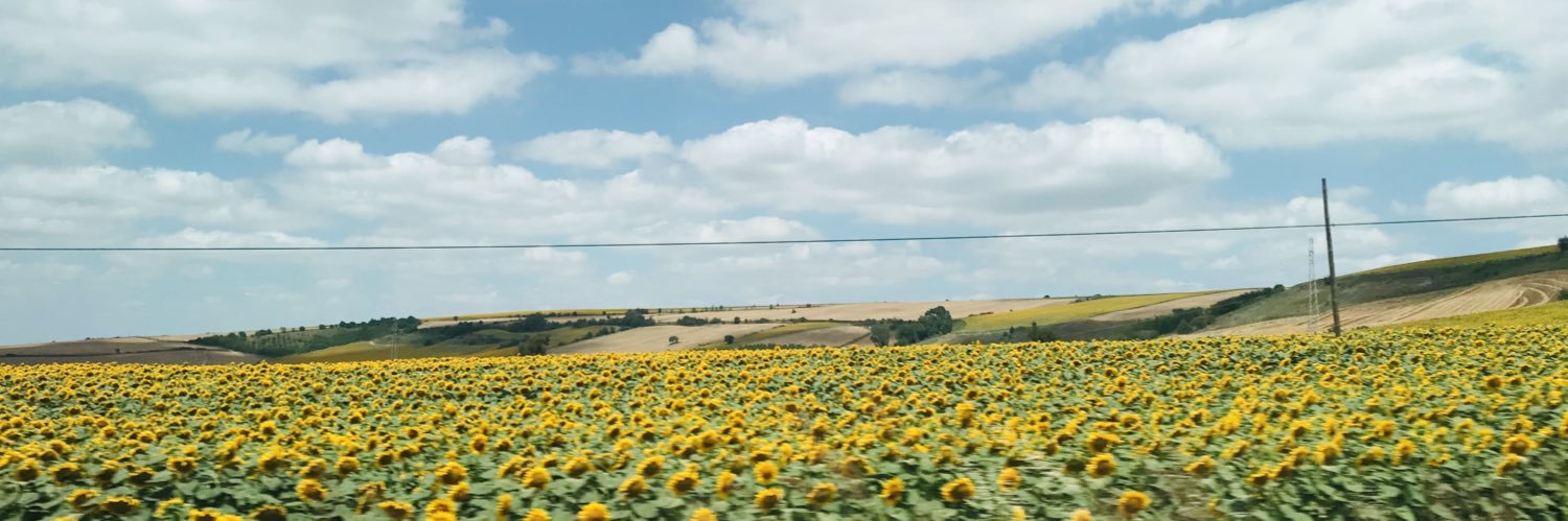 Betül banner