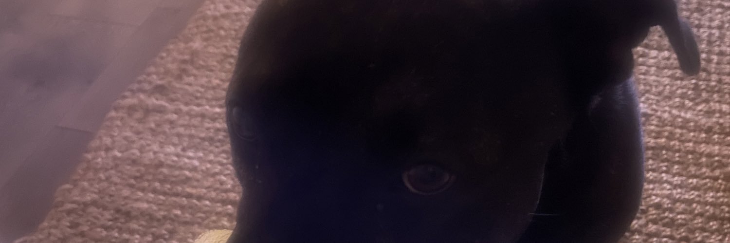 Syd banner