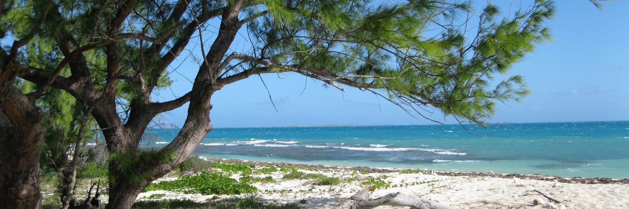 Striving To Be More Like Tanjiro banner