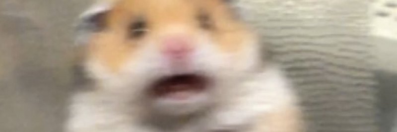Aprianera's profile banner image