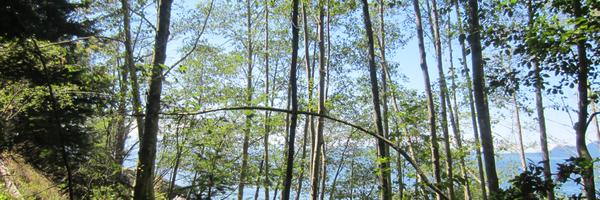 cross_acc Profile Banner