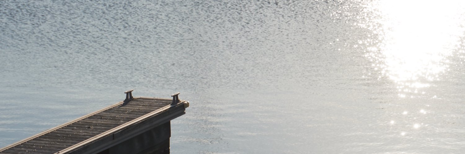 Lisaneska's profile banner image