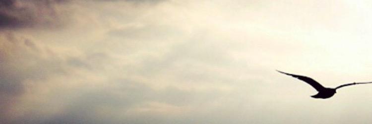 Hadzic1992's profile banner image