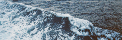 mariandoola's profile banner image