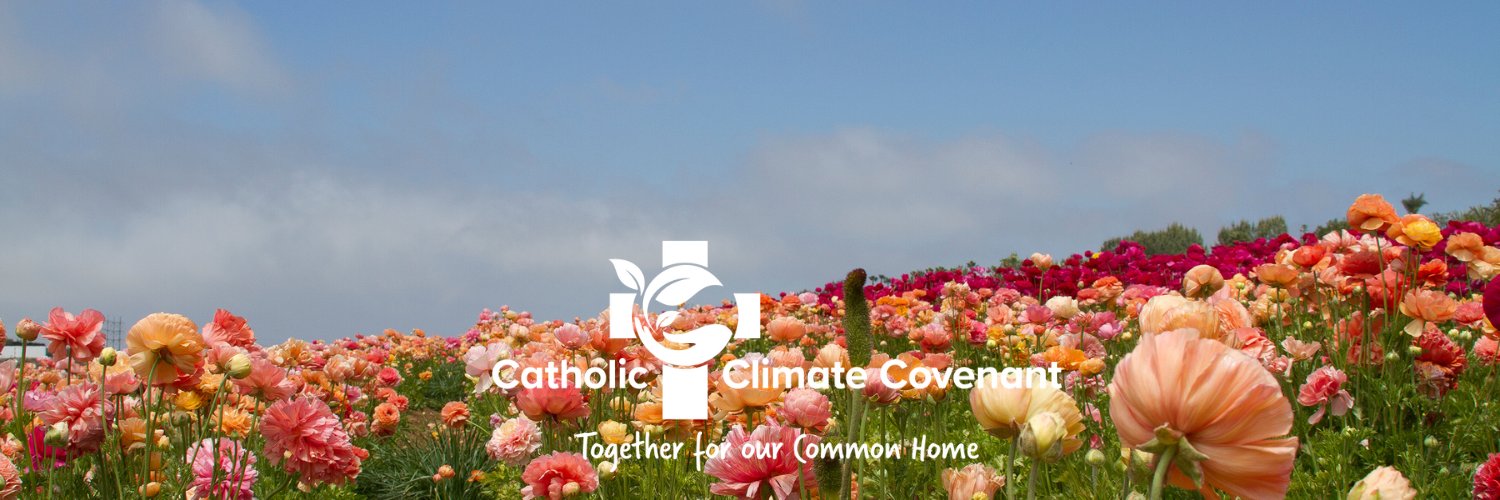 Catholic Climate banner