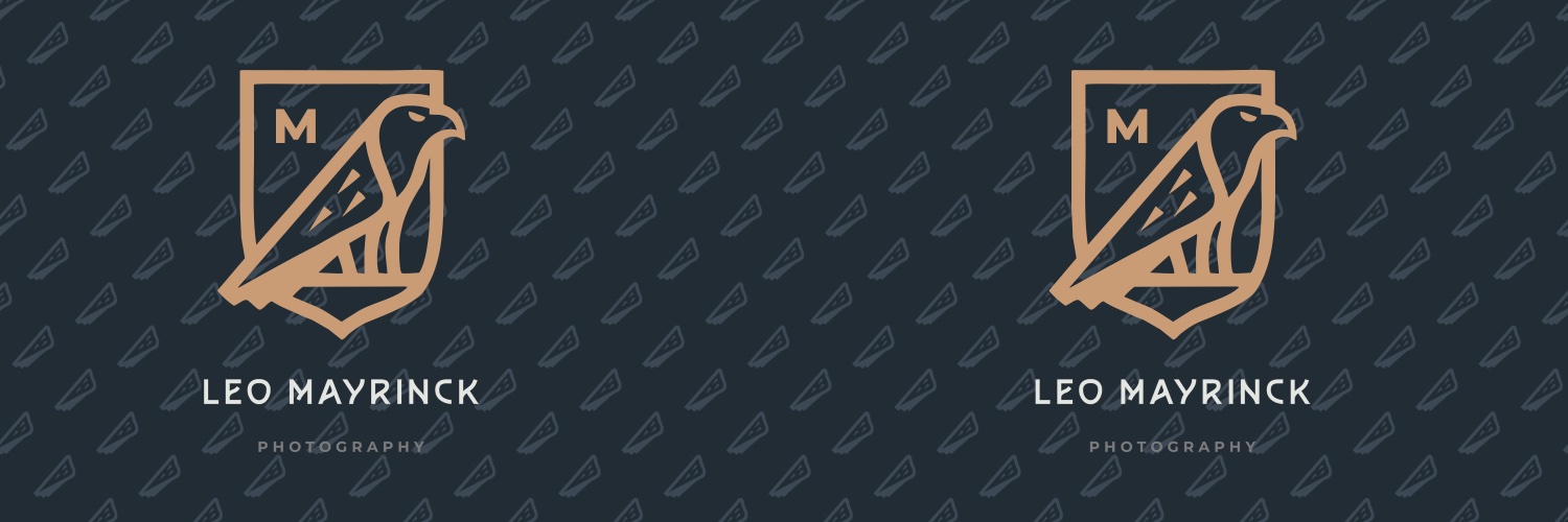 LeoMayrinck's profile banner image