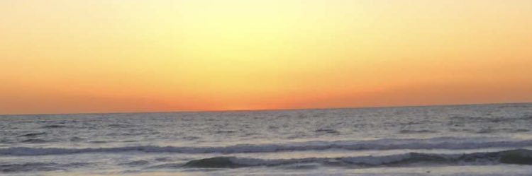 SuttonHayden's profile banner image