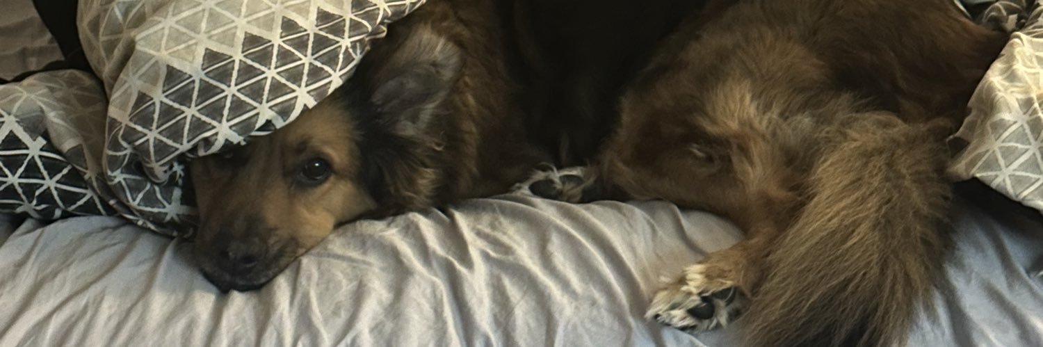 Anthony Grant banner