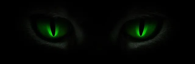 ᵈ | ᚱᚹᛟ banner