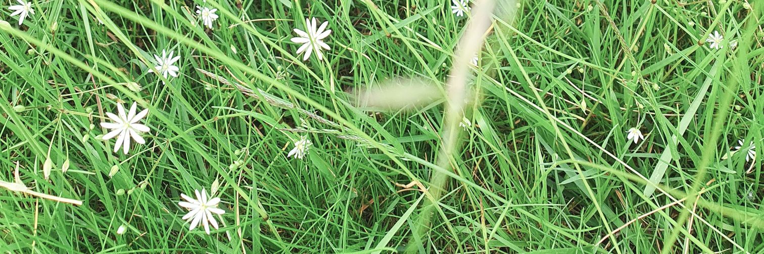 anna__burton's profile banner image