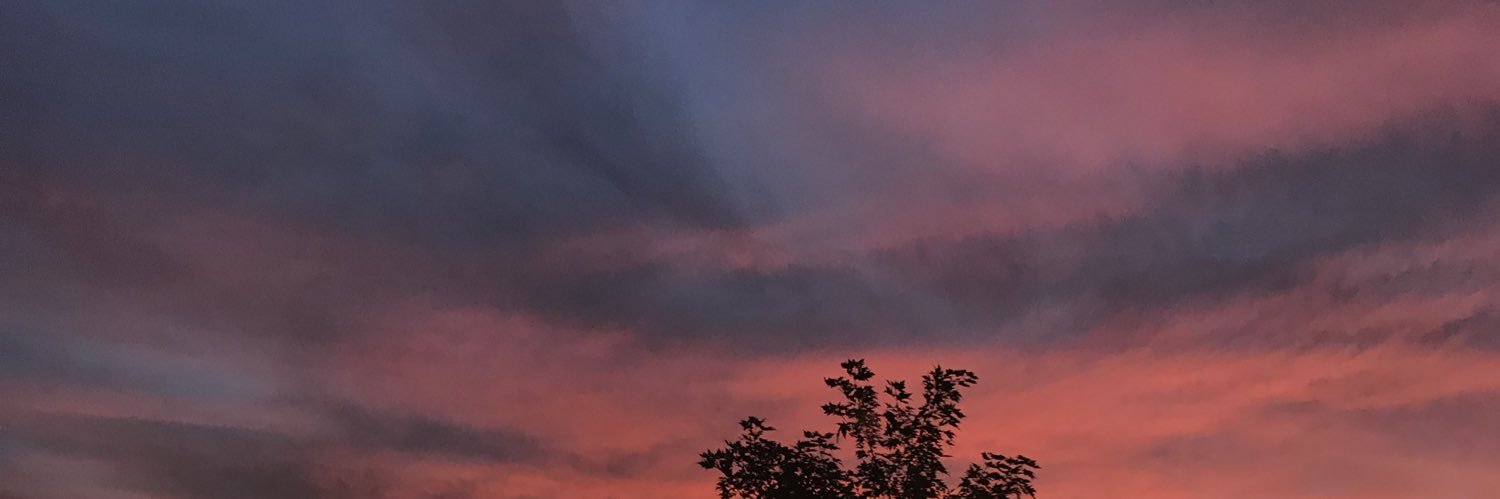 ValentSJ's profile banner image