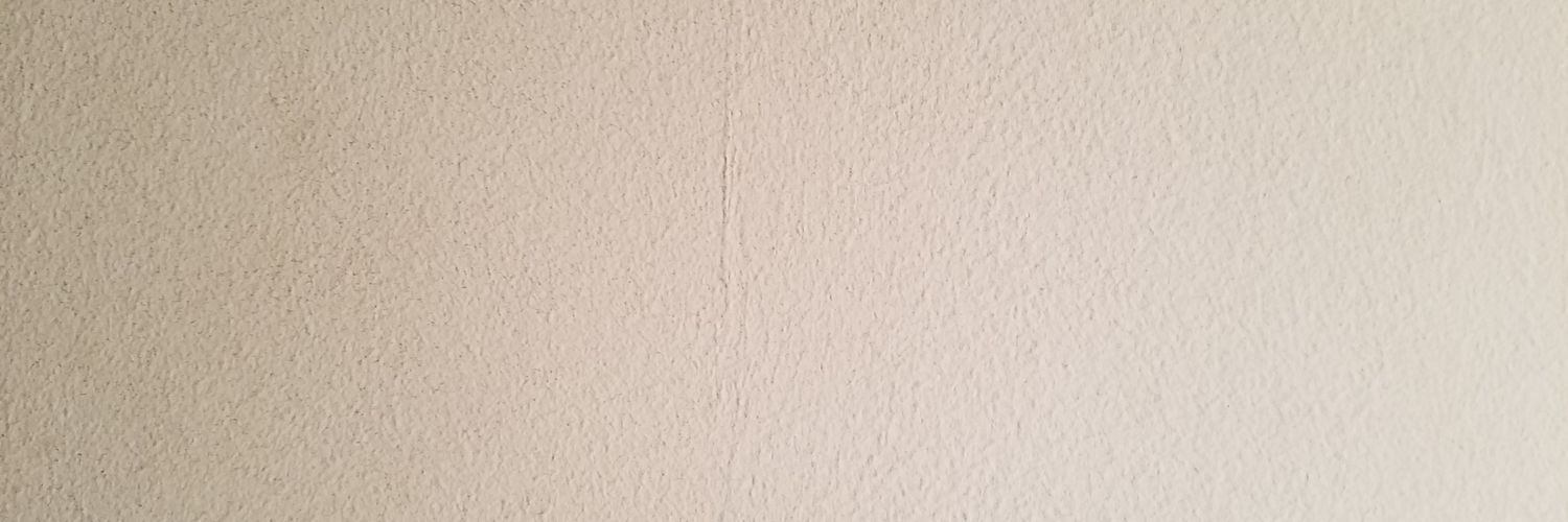 necroreefer's profile banner image