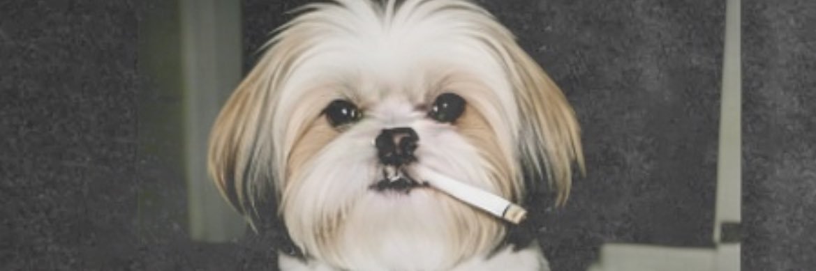 tom_herer's profile banner image