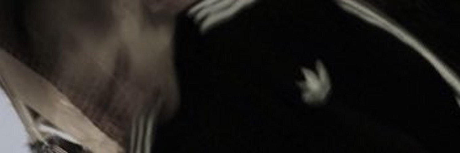 Sexcivan's profile banner image