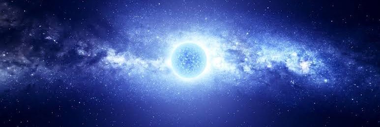 Merchant Totoro 🍀 banner