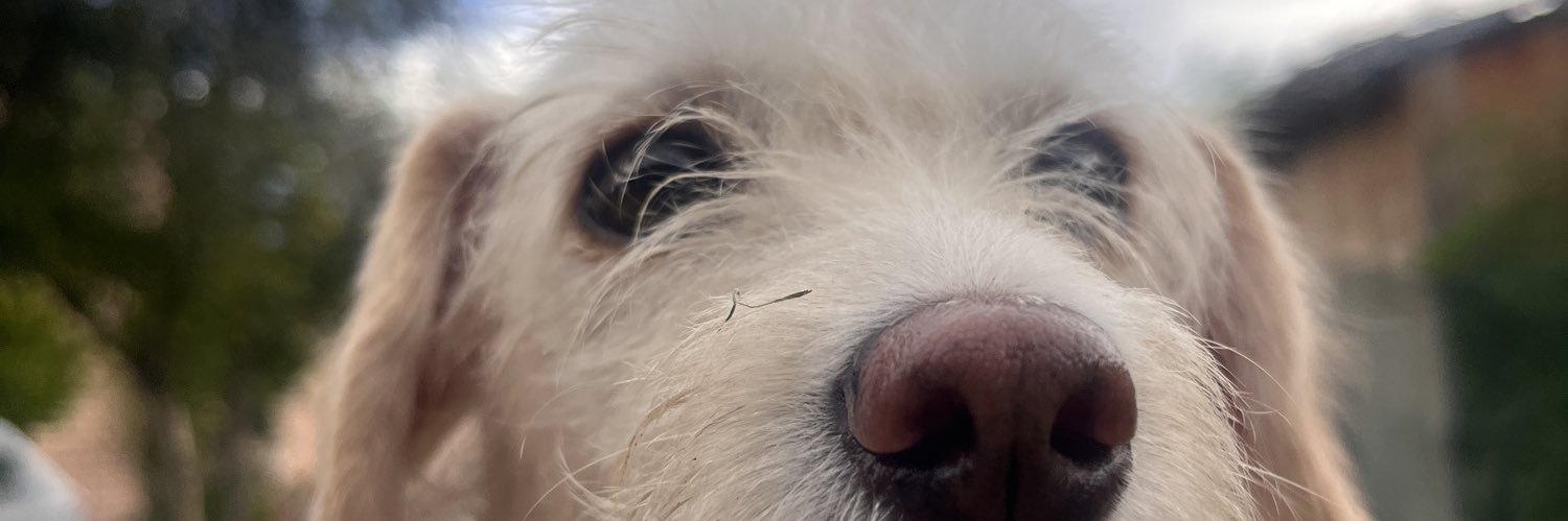 AlamCardone's profile banner image