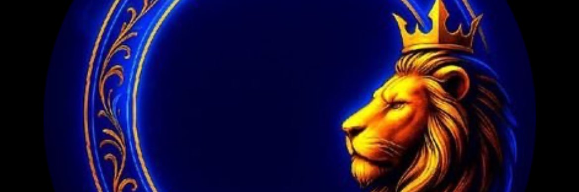 bilgin134's profile banner image