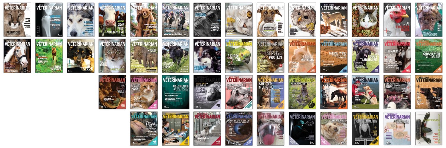 Corey Van't Haaff banner