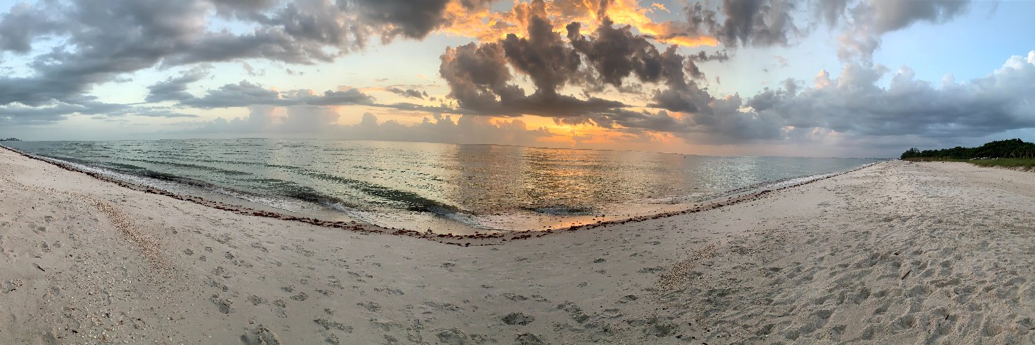 scriptKitten24's profile banner image