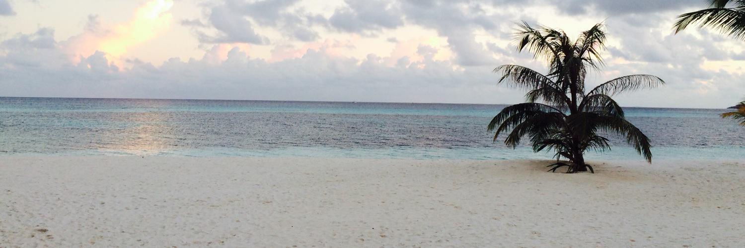 gillw17's profile banner image