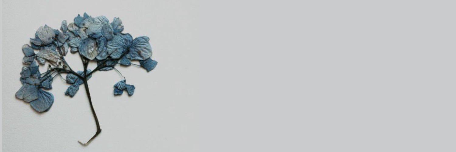 Mariaam_86's profile banner image