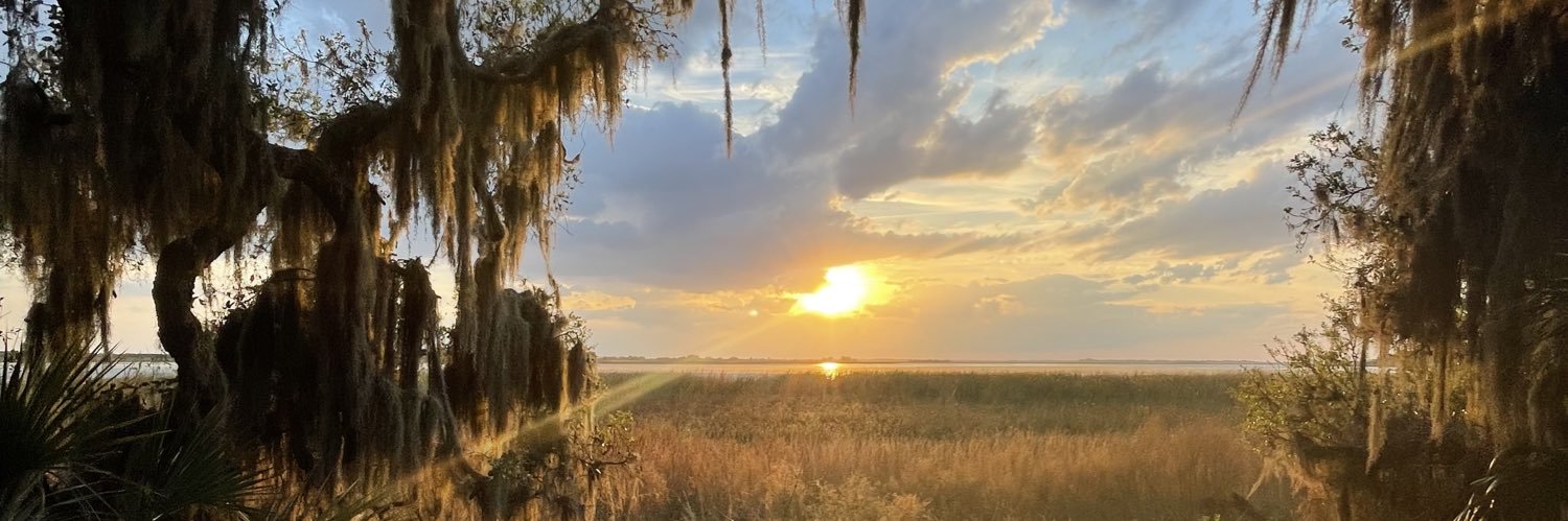 DancingWillow78's profile banner image
