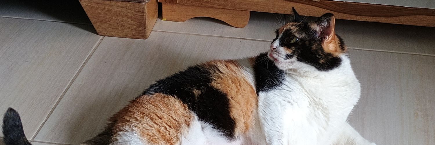 adrianarojascas's profile banner image