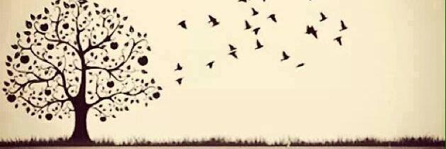 jeca_mattos's profile banner image
