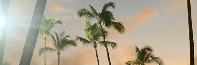 rutcrv's profile banner image