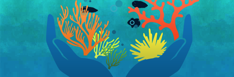 SaveCayman's profile banner image