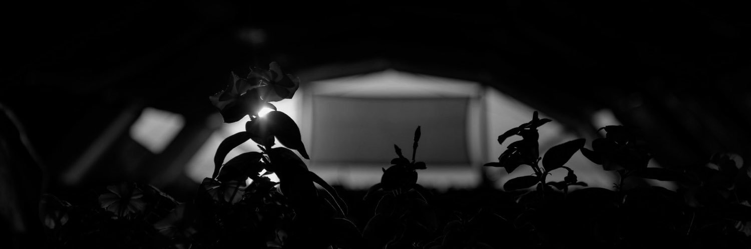 SUNWAVES Festival banner