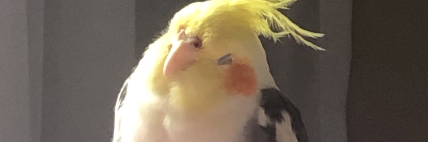 caroltomas_'s profile banner image