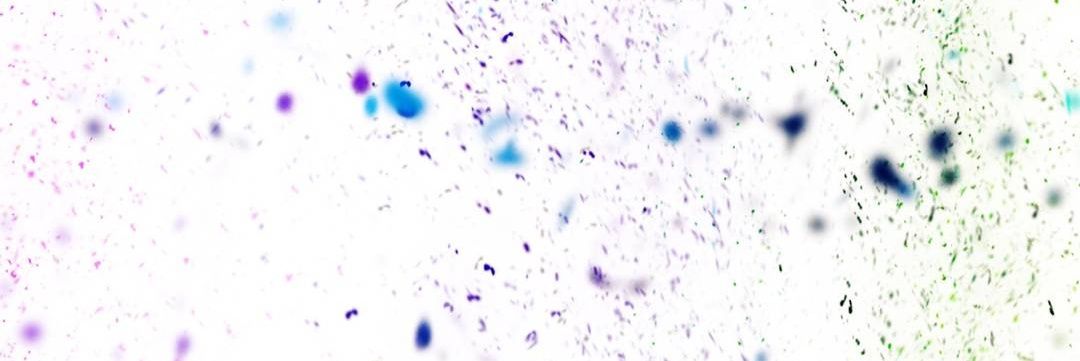 hernandoarriet1's profile banner image