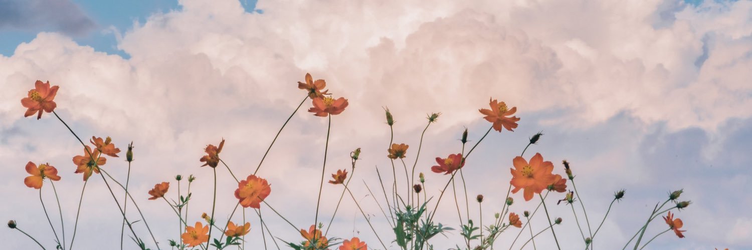 🌬 banner