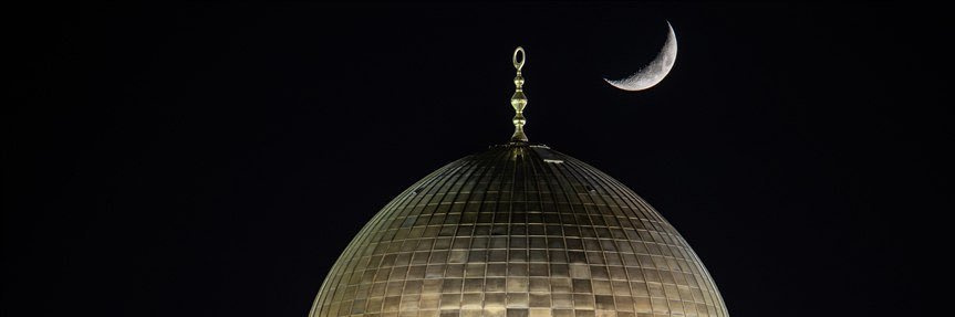 ulutaskurtul's profile banner image
