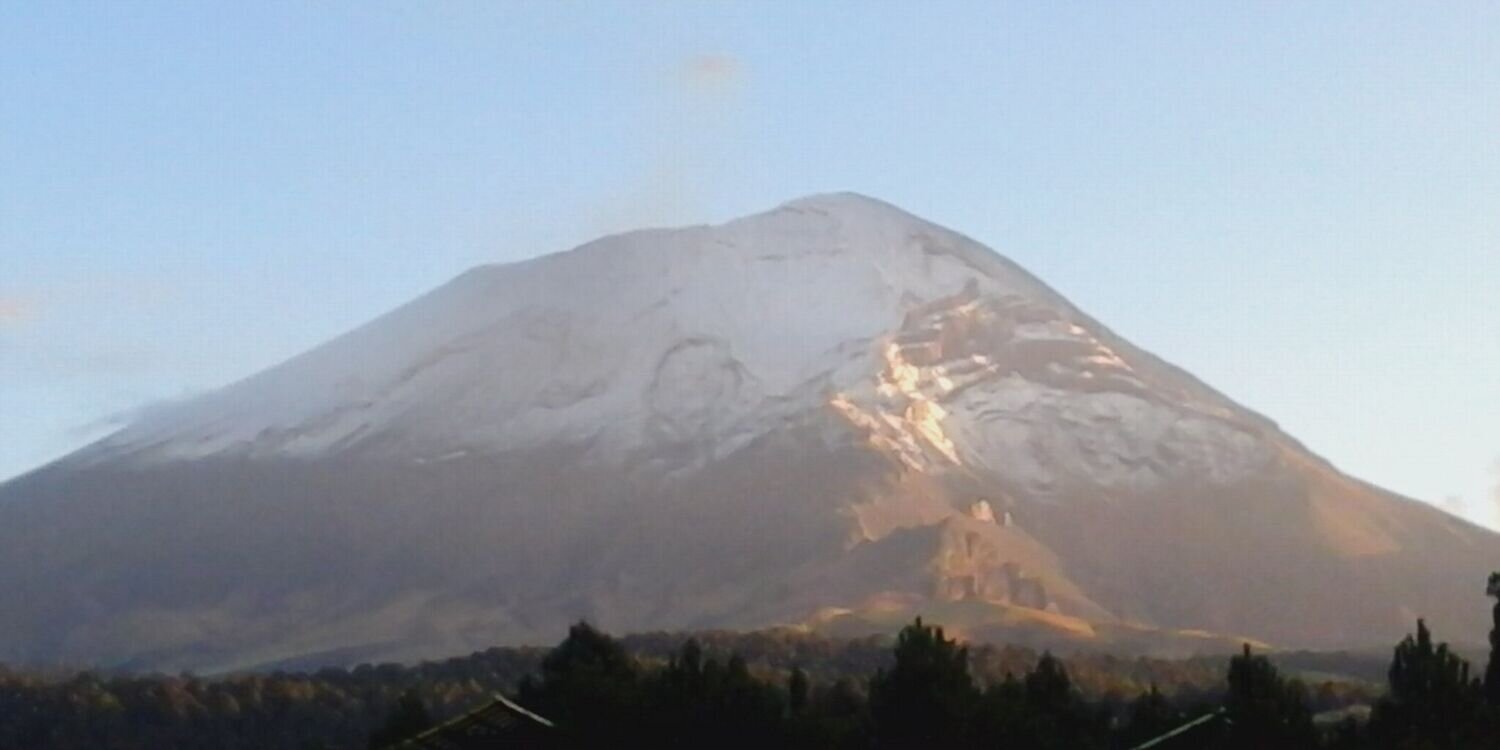 Jonas De Regil banner