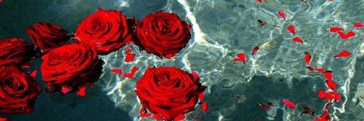 daeluvme's profile banner image