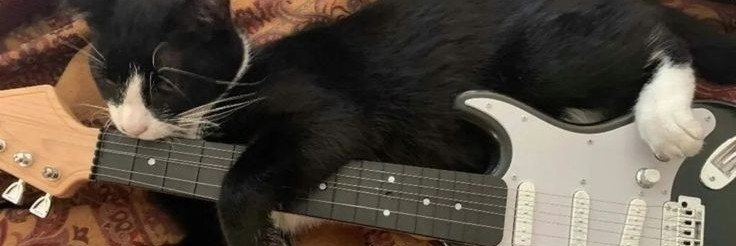 onekrocks's profile banner image