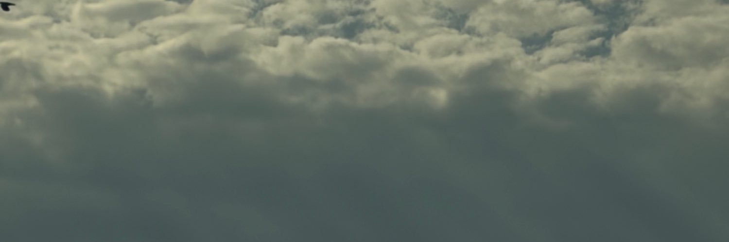 RealRawGem's profile banner image