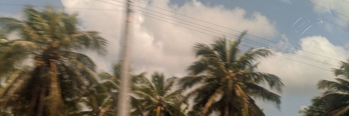 juliaxc20's profile banner image