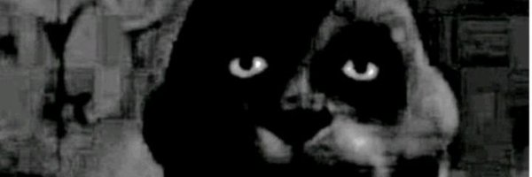 0xBandio's profile banner image