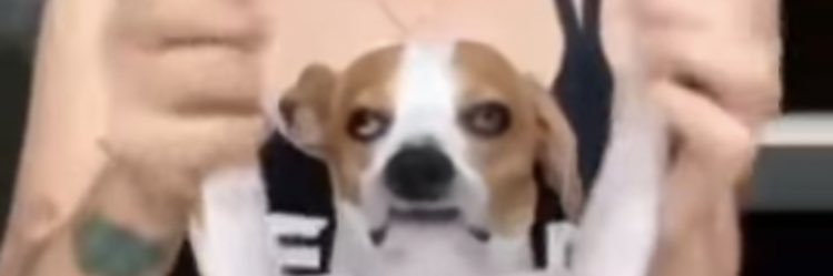 mlorena_'s profile banner image