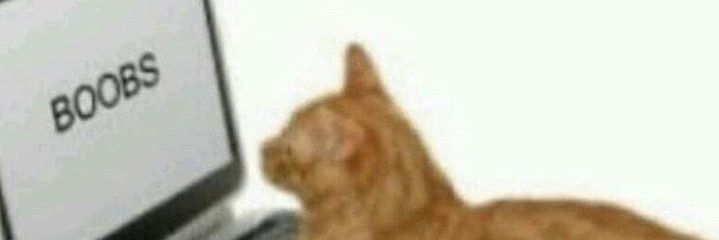 p4uldanonino's profile banner image
