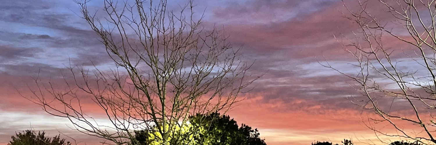 Michael Mulcahy banner